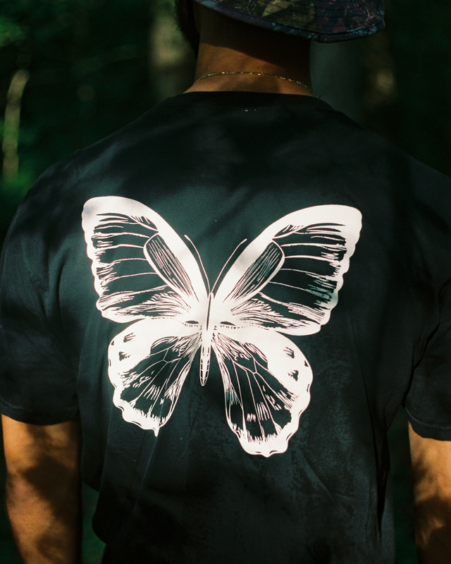 Original Butterfly